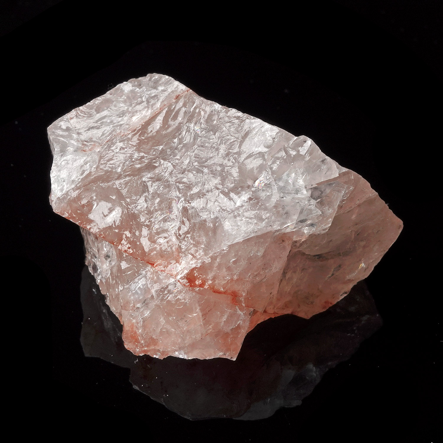 粉色火焰阿賽斯特萊 (52g-247-11)