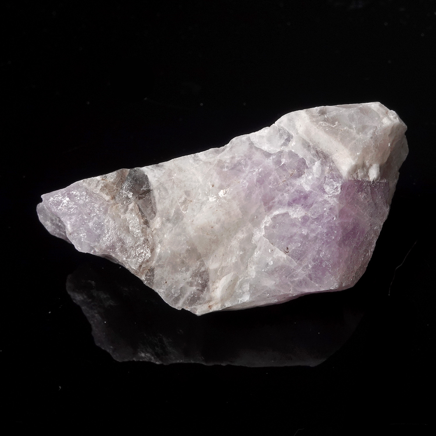 Amazez 阿賽斯特萊 (32g-249-10)