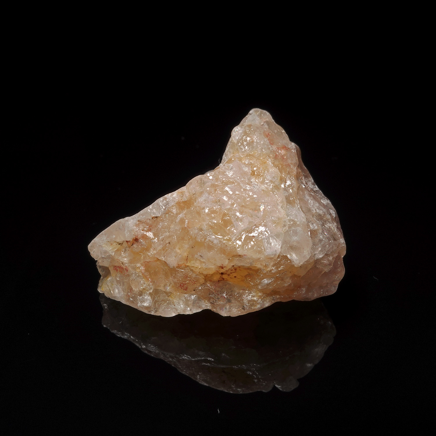 喜馬拉雅黃金阿賽斯特萊 (13g-24b-6)