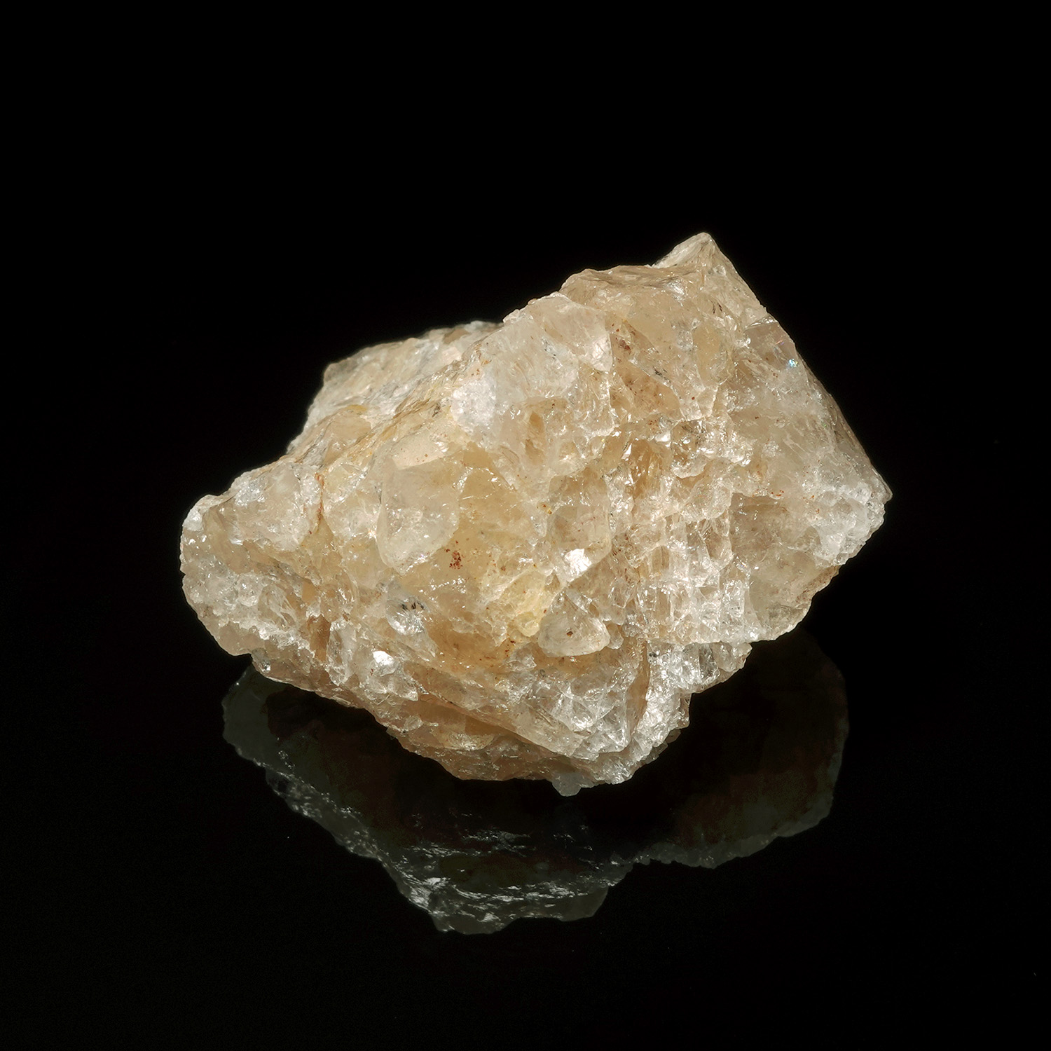 喜馬拉雅黃金阿賽斯特萊 (27g-24b-9)