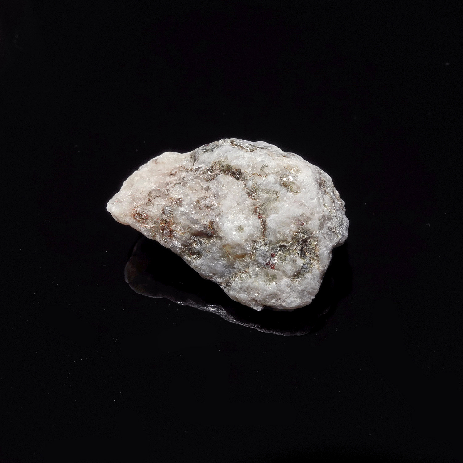 沙之玫瑰阿賽斯特萊 (12g-24c-1)