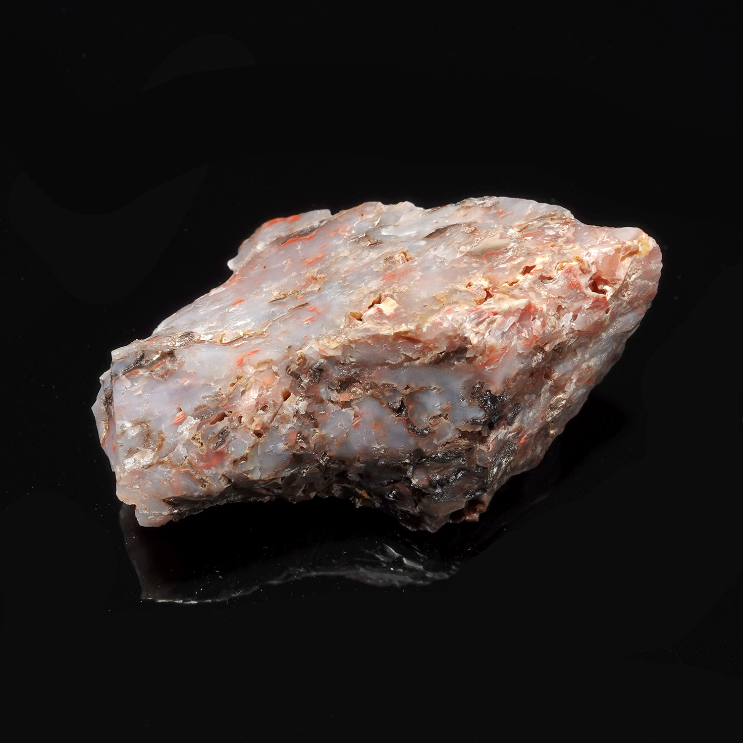 Cinnazez 阿賽斯特萊 (26g-251-9)