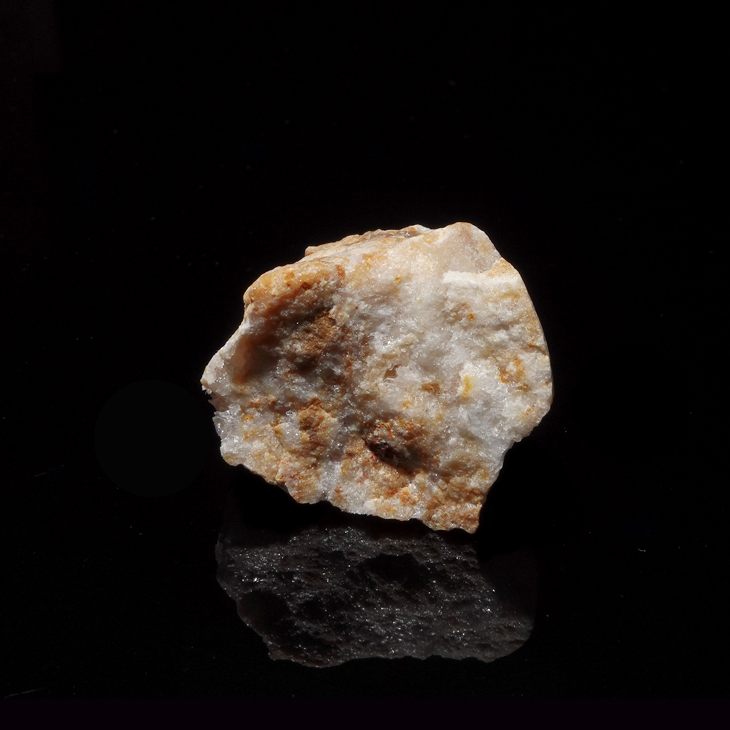 蜂蜜奶油阿賽斯特萊 (13g-253-1)