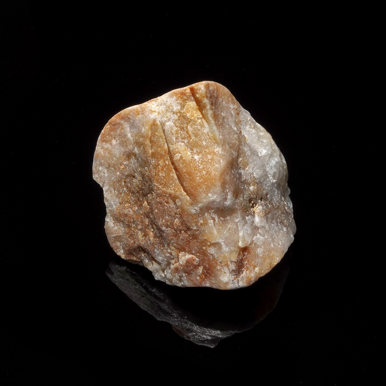 蜂蜜奶油阿賽斯特萊 (22g-253-7)