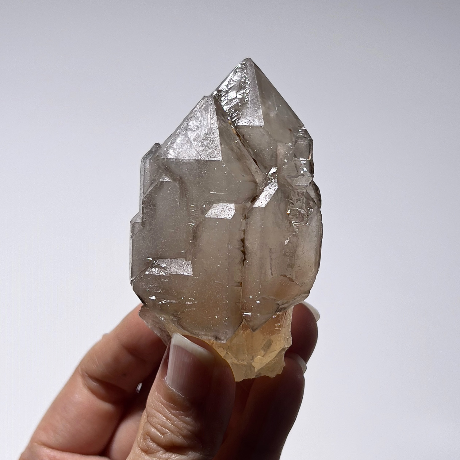 大師水晶 – 煙晶骨幹水晶 119g (256-1)