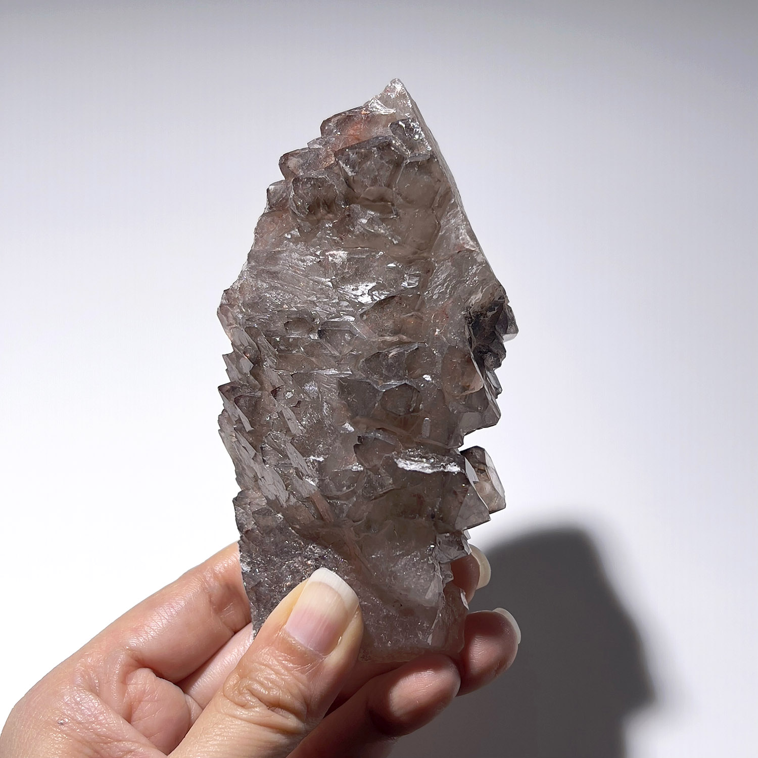 大師水晶 – 煙晶骨幹水晶 292g (256-4)