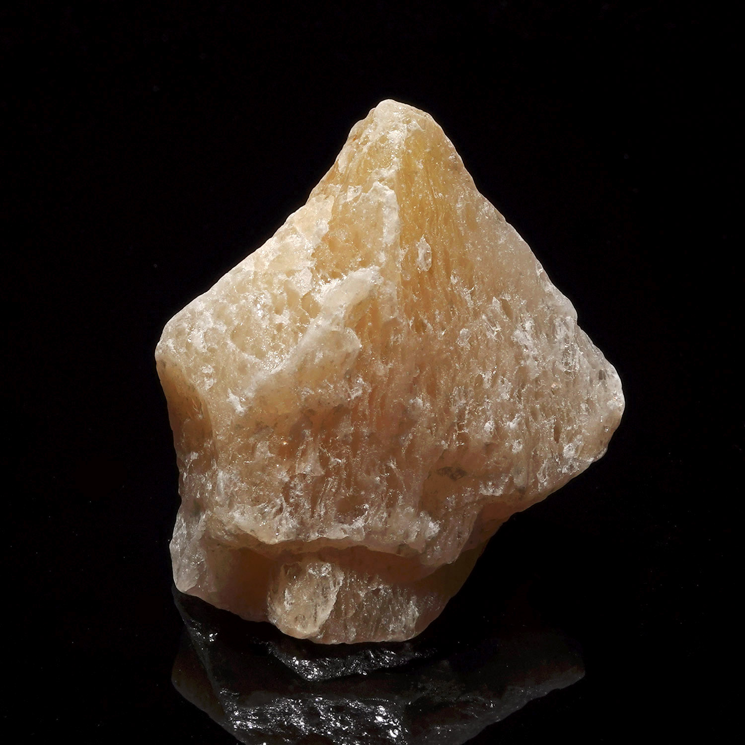 Satyaloka Yellow 阿賽斯特萊 (40g-256-11)