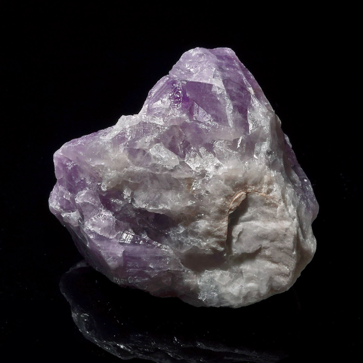 Amazez 阿賽斯特萊 (44g-257-10)