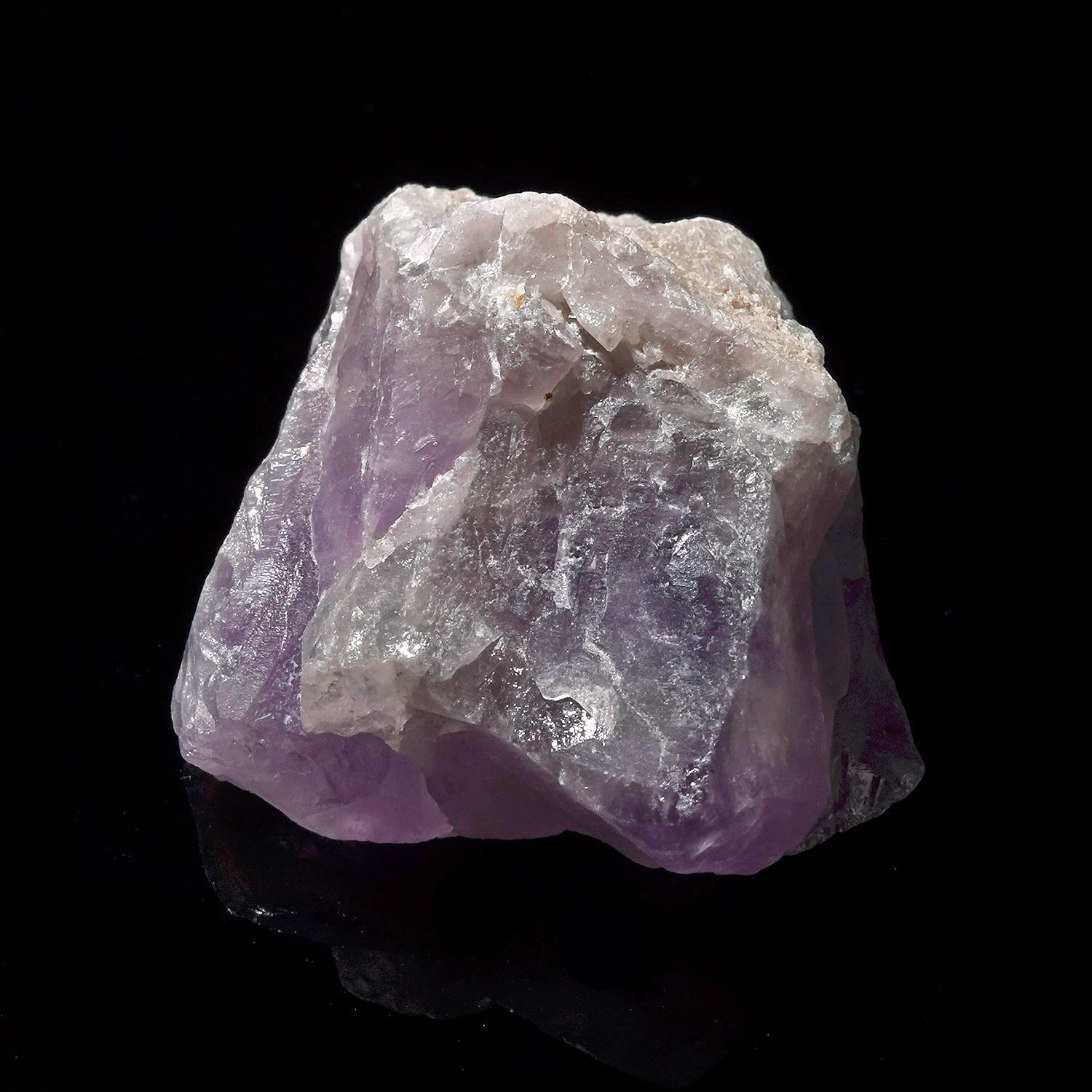 Amazez 阿賽斯特萊 (35g-257-4)