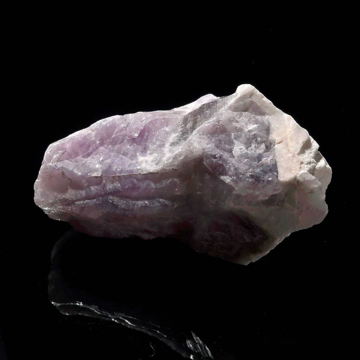 Amazez 阿賽斯特萊 (36g-257-5)