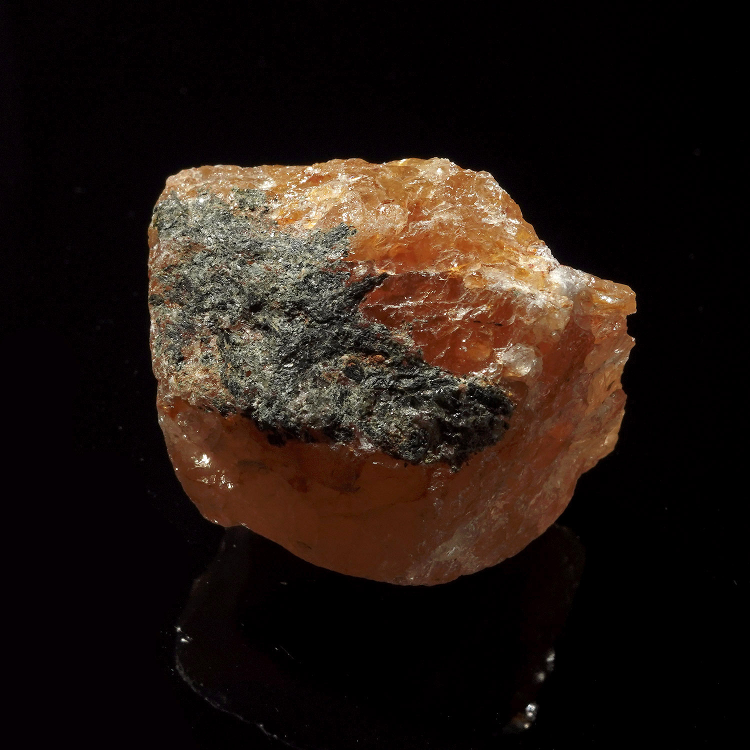 喜馬拉雅紅金阿賽斯特萊 (34g-258-11)