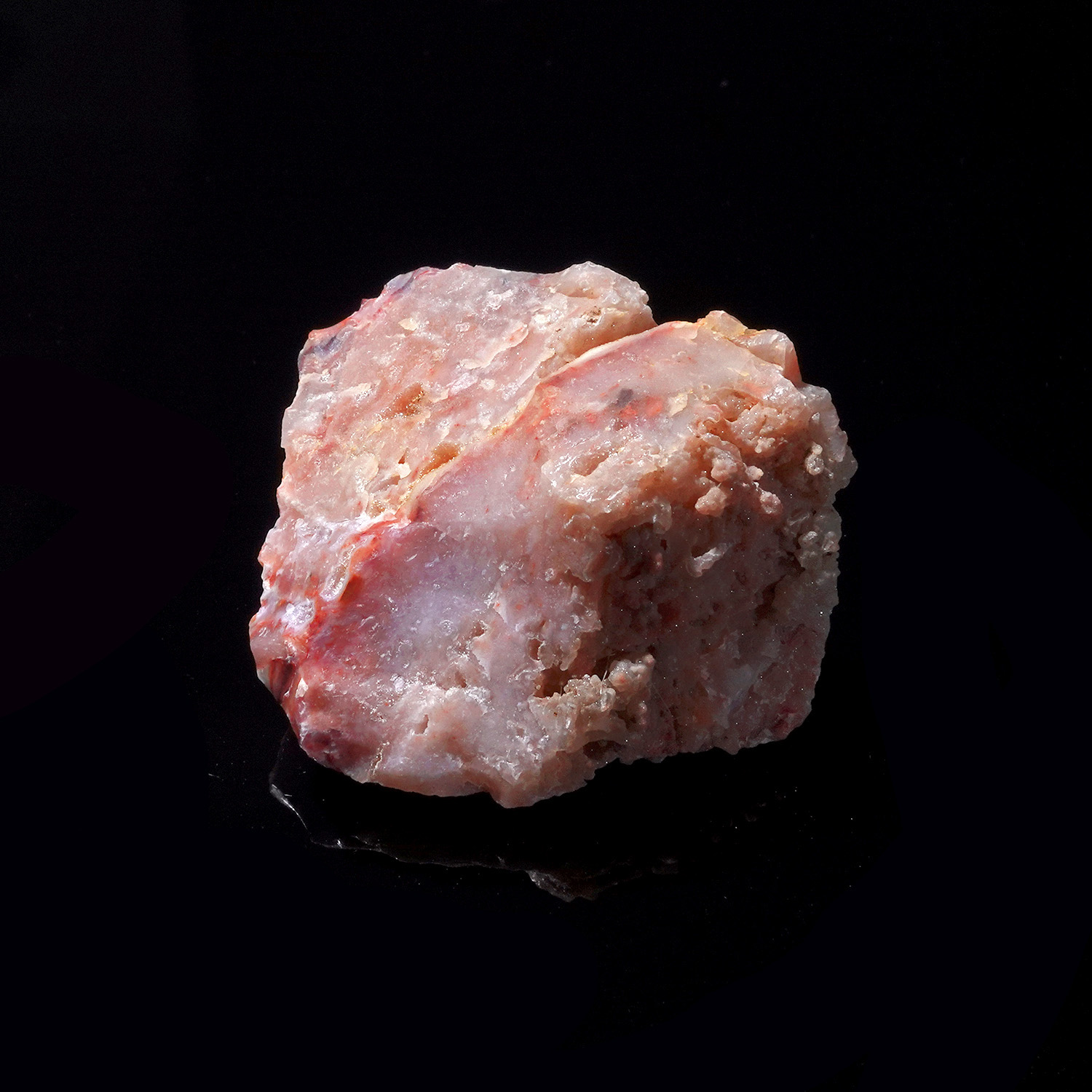 Cinnazez 阿賽斯特萊 (22g-259-4)