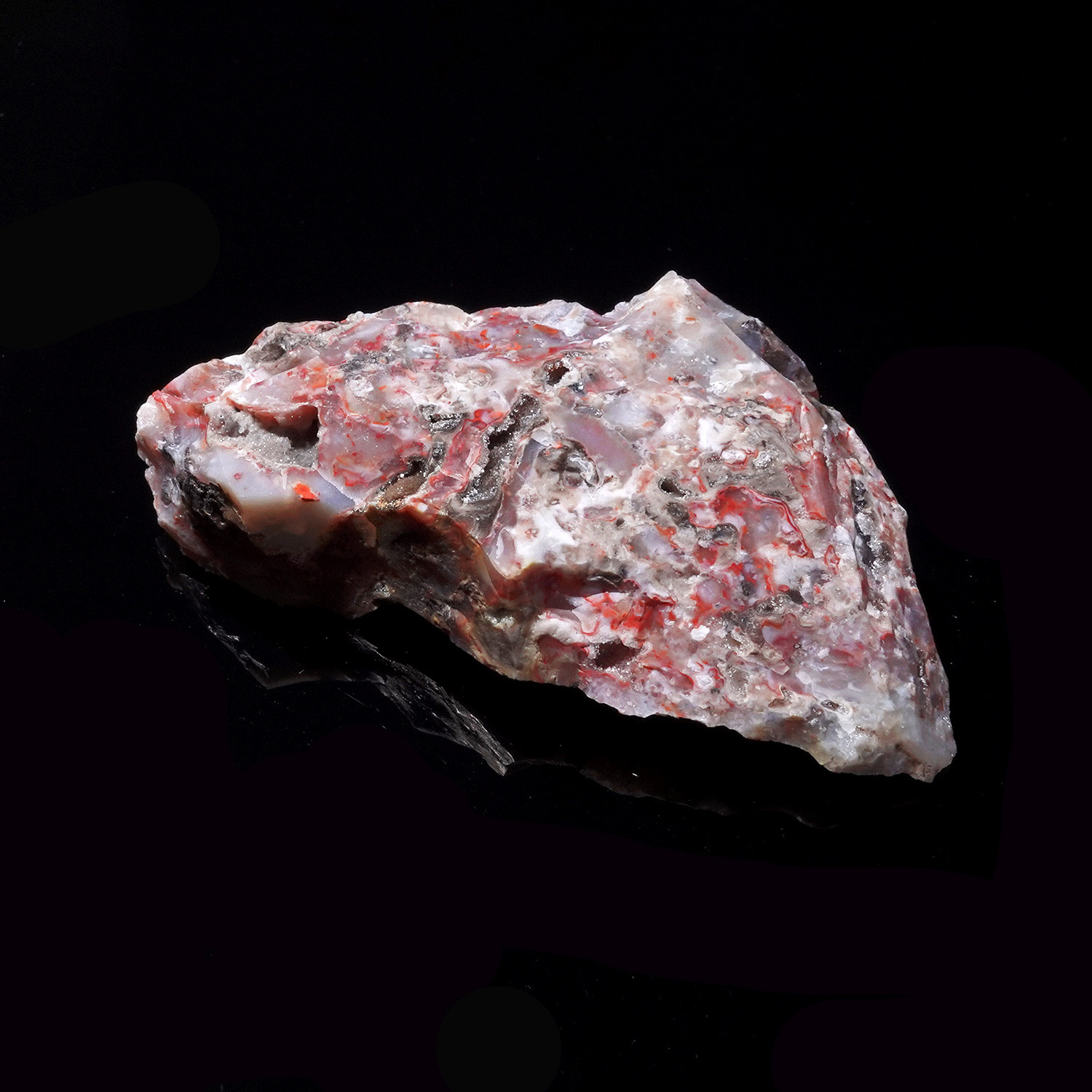 Cinnazez 阿賽斯特萊 (25g-259-5)