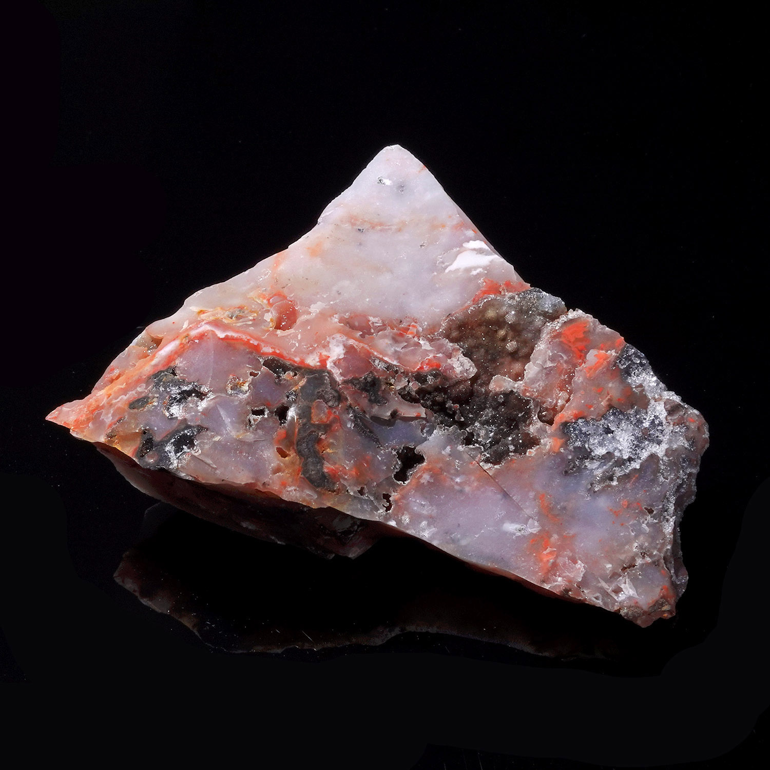 Cinnazez 阿賽斯特萊 (37g-259-7)