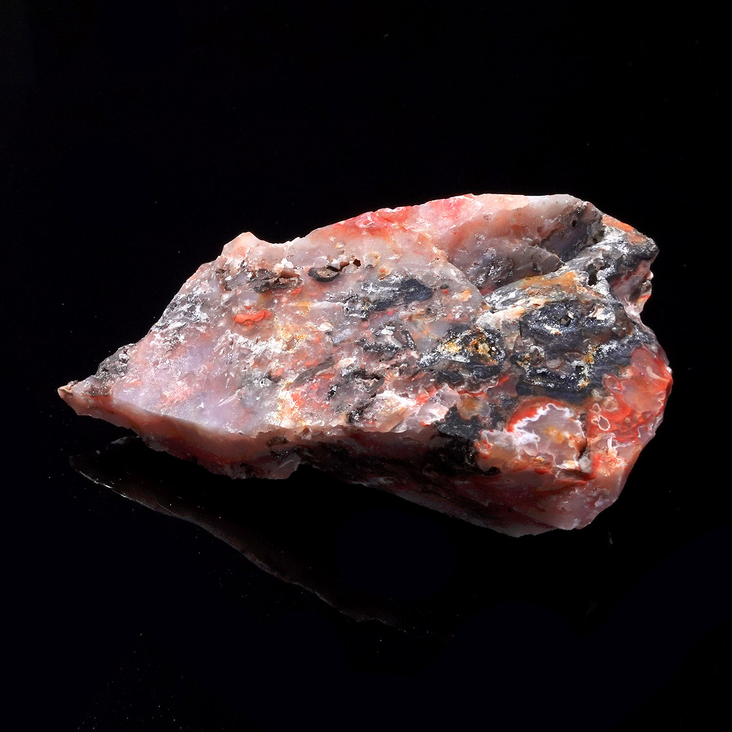 Cinnazez 阿賽斯特萊 (44g-259-8)