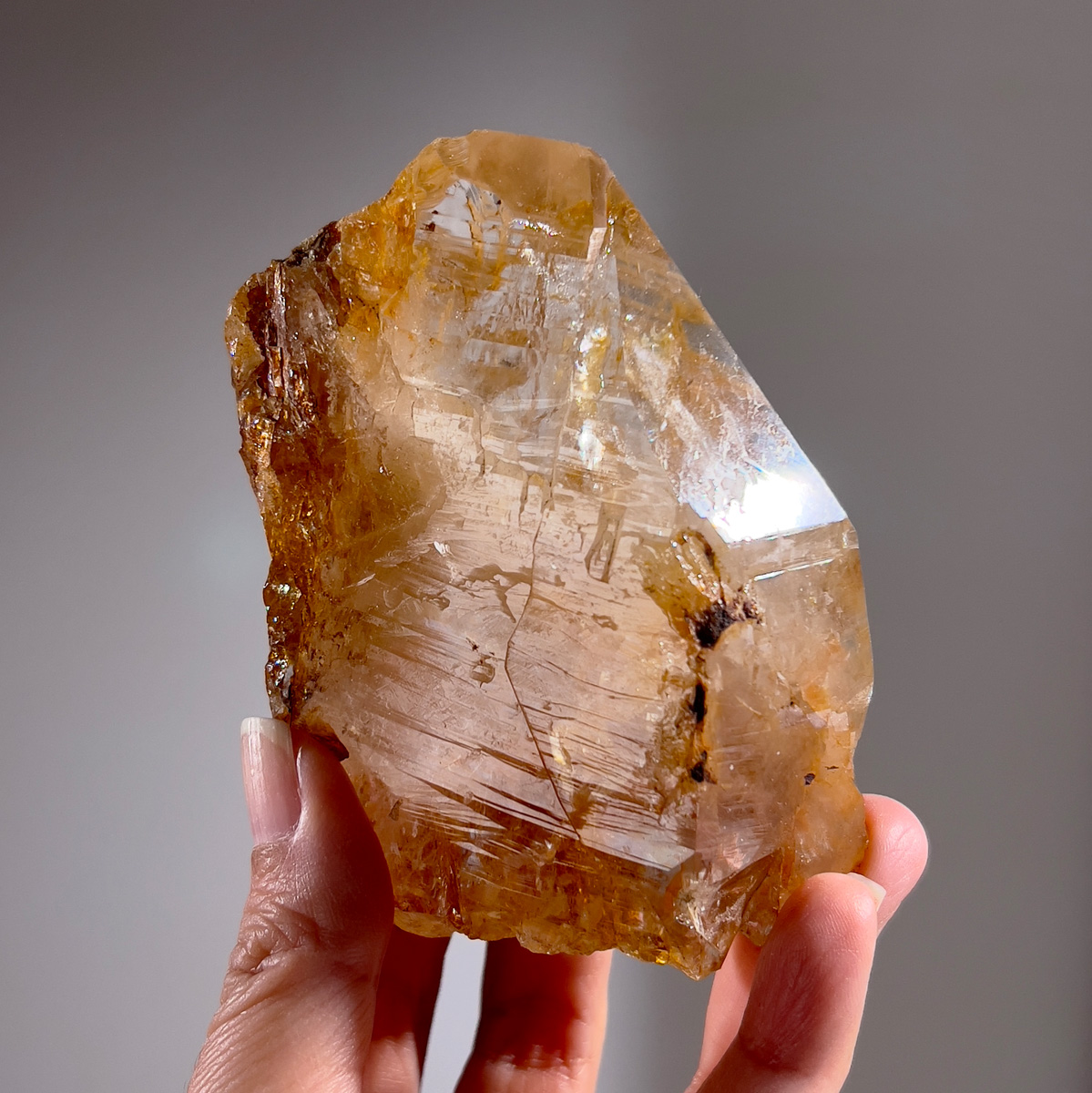 西藏黃金療癒者喜馬拉雅水晶 266g (25b-2)