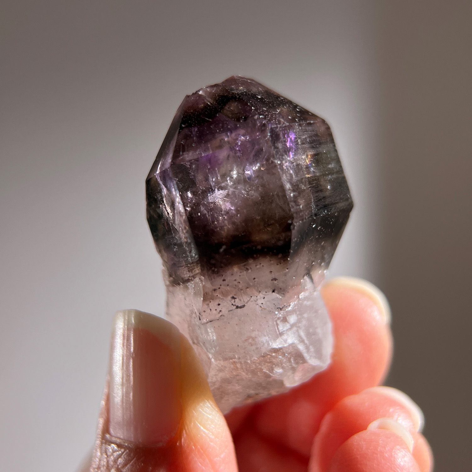 納米比亞-布蘭登堡茶紫色幻影水晶 #資料庫 #水膽 22g (261-9)