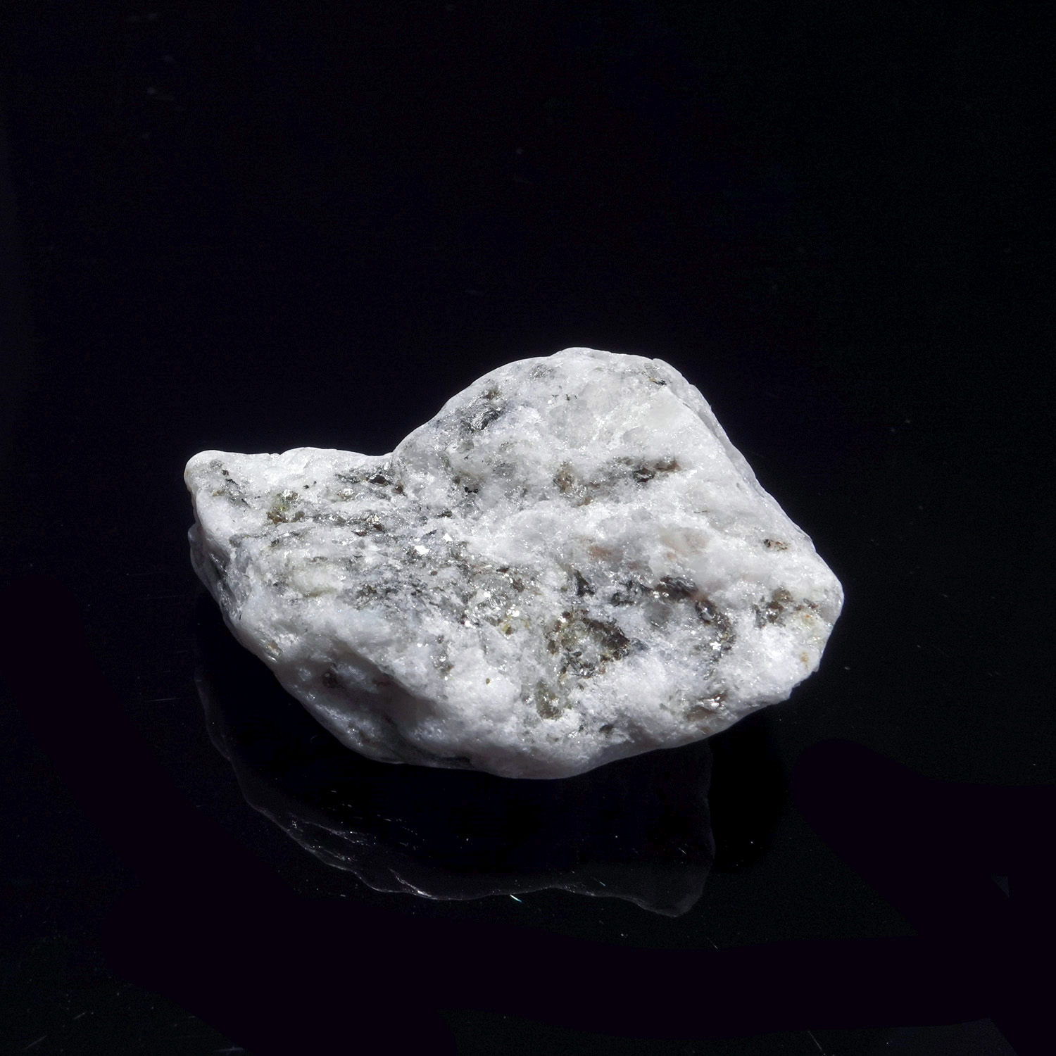 沙之玫瑰阿賽斯特萊 (16g-263-1)