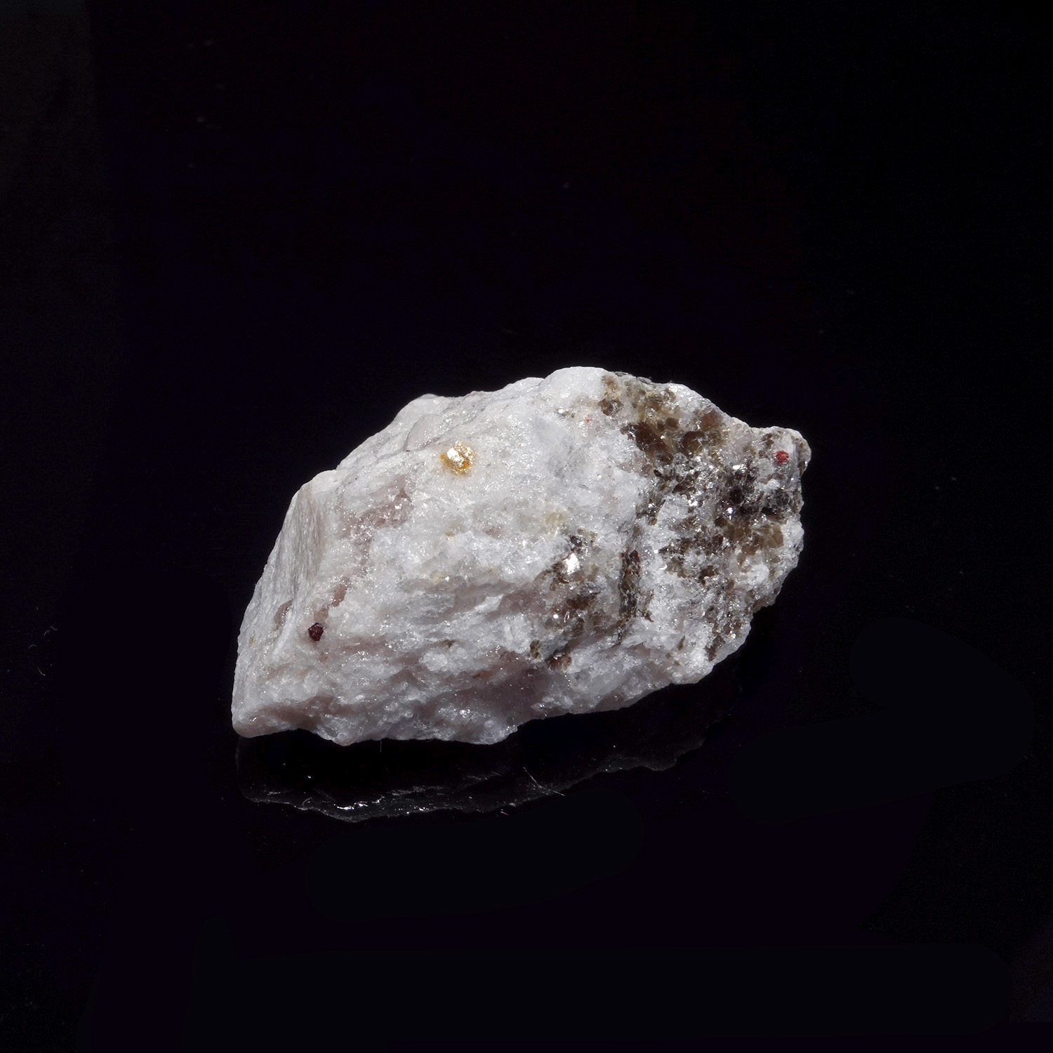 沙之玫瑰阿賽斯特萊 (15g-263-2)